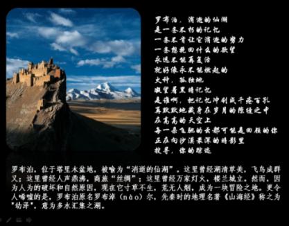 真三国无双8